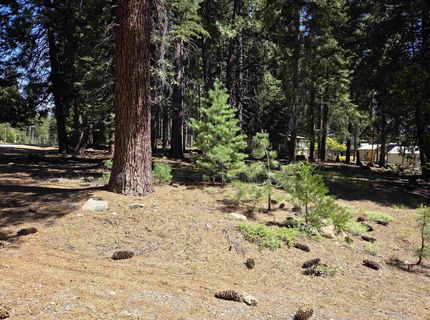 520 Ponderosa Way, Lake Almanor, CA 96137 Photo
