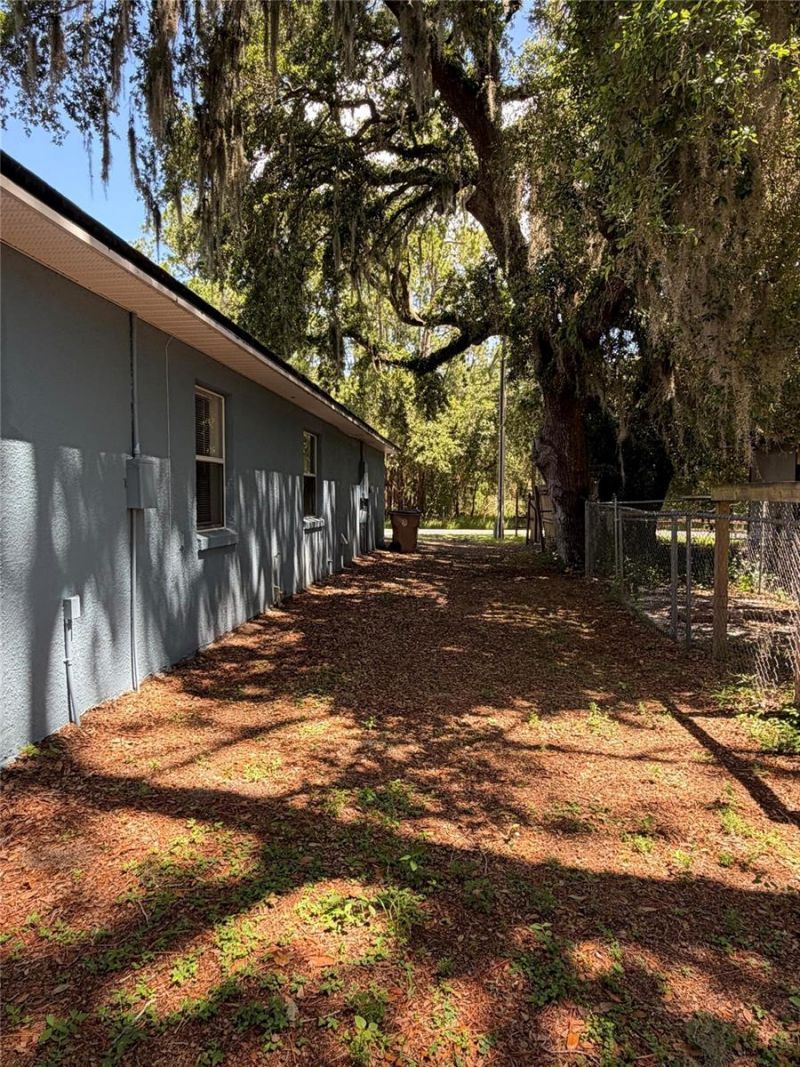 6436 Fig Leaf Street , Saint Cloud, FL 34771 Photo