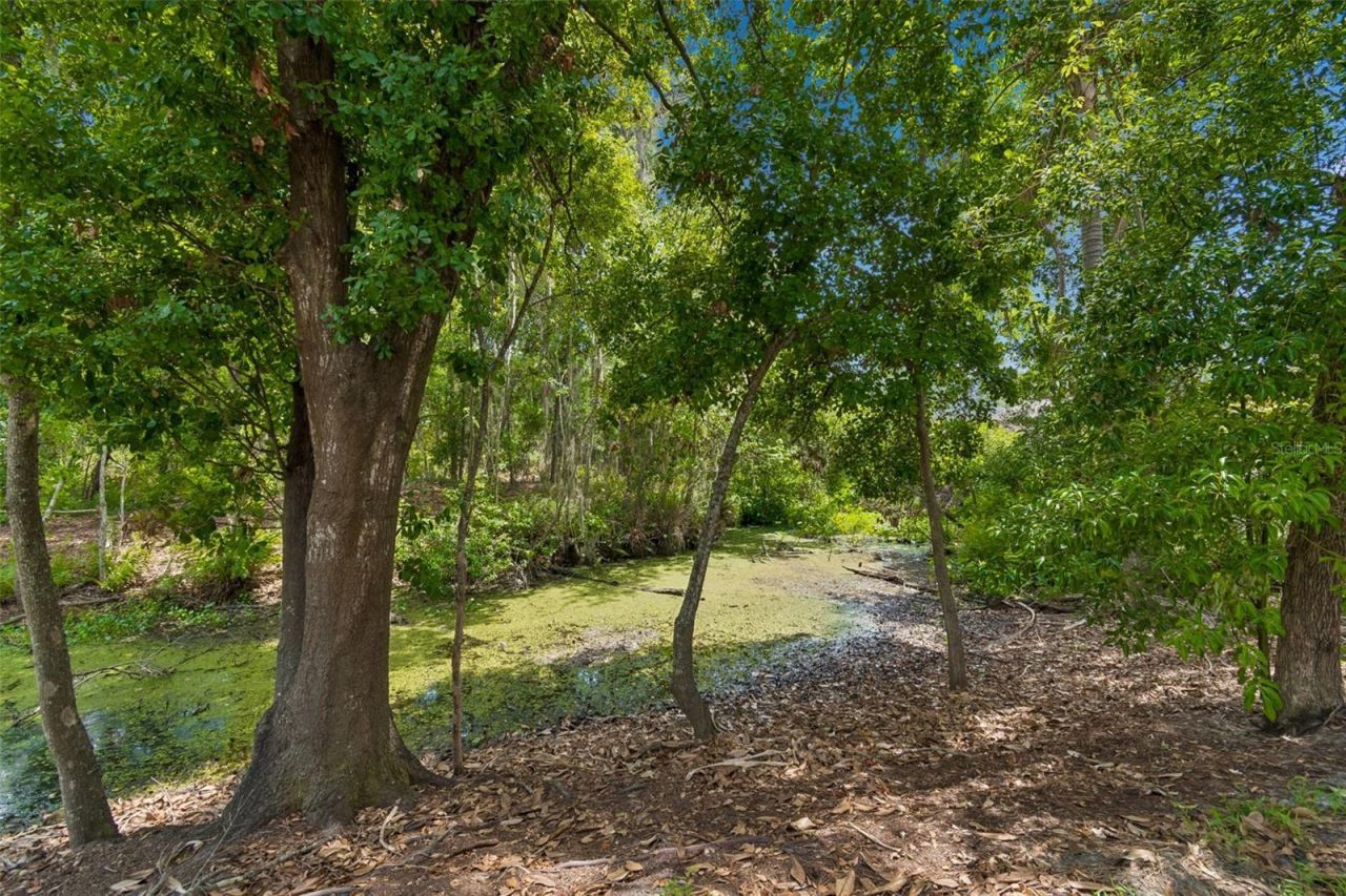 1005 Highgrove Court , Valrico, FL 33596 Photo