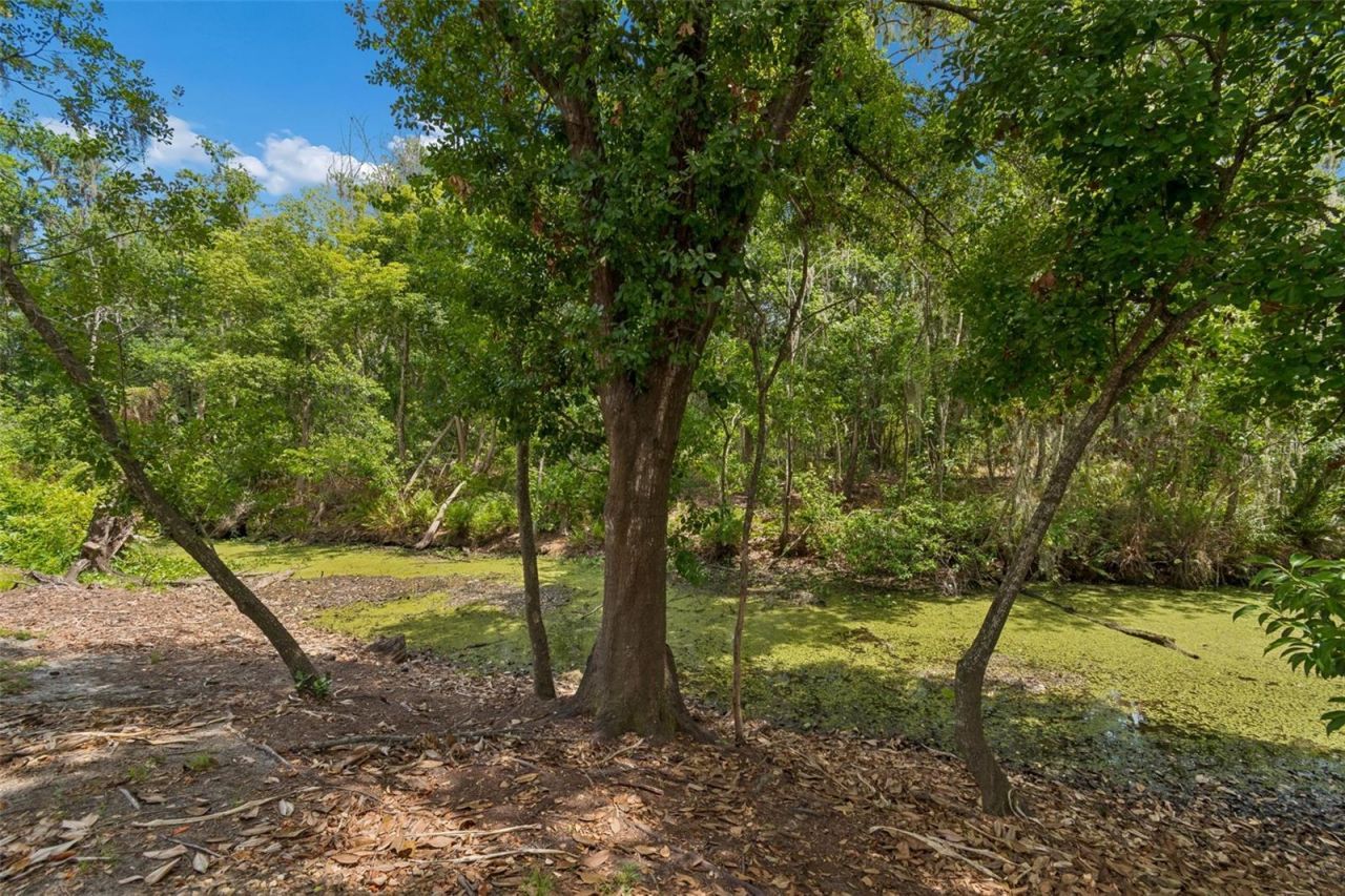 1005 Highgrove Court , Valrico, FL 33596 Photo