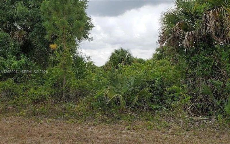 523 Montclair Ave S , Lehigh Acres, FL 33974 Photo