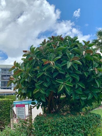 6400 NW 2nd Avenue, Unit 417, Boca Raton, FL 33487 Photo