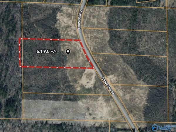 2 County Road 37, Nauvoo, AL 35578