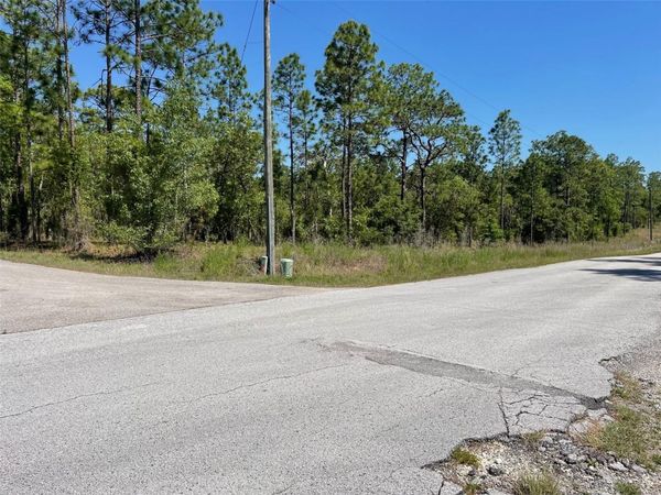 LOT 1 NW MANDRAKE DRIVE , DUNNELLON, FL 34431