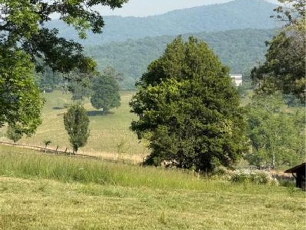 0 Mountain Road , Morganton, GA 30560