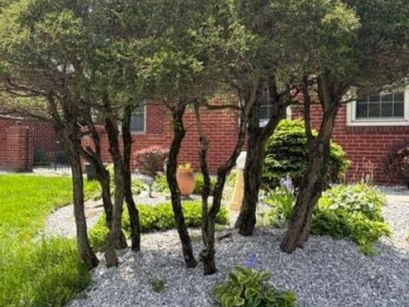 4777 Nugent Drive, Unit 4775, Columbus, OH 43220 Photo 4