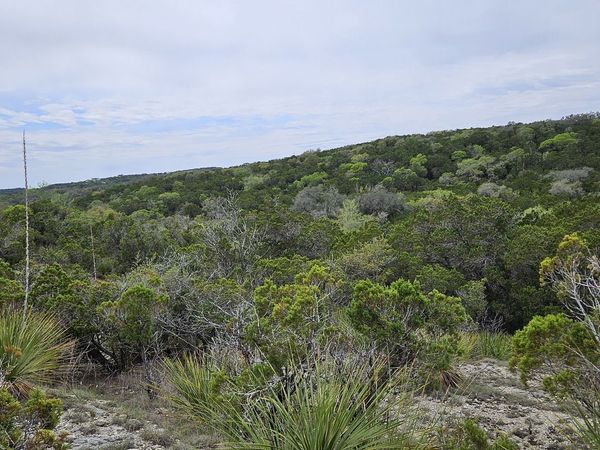 21207 Scenic Loop, Helotes, TX 78023