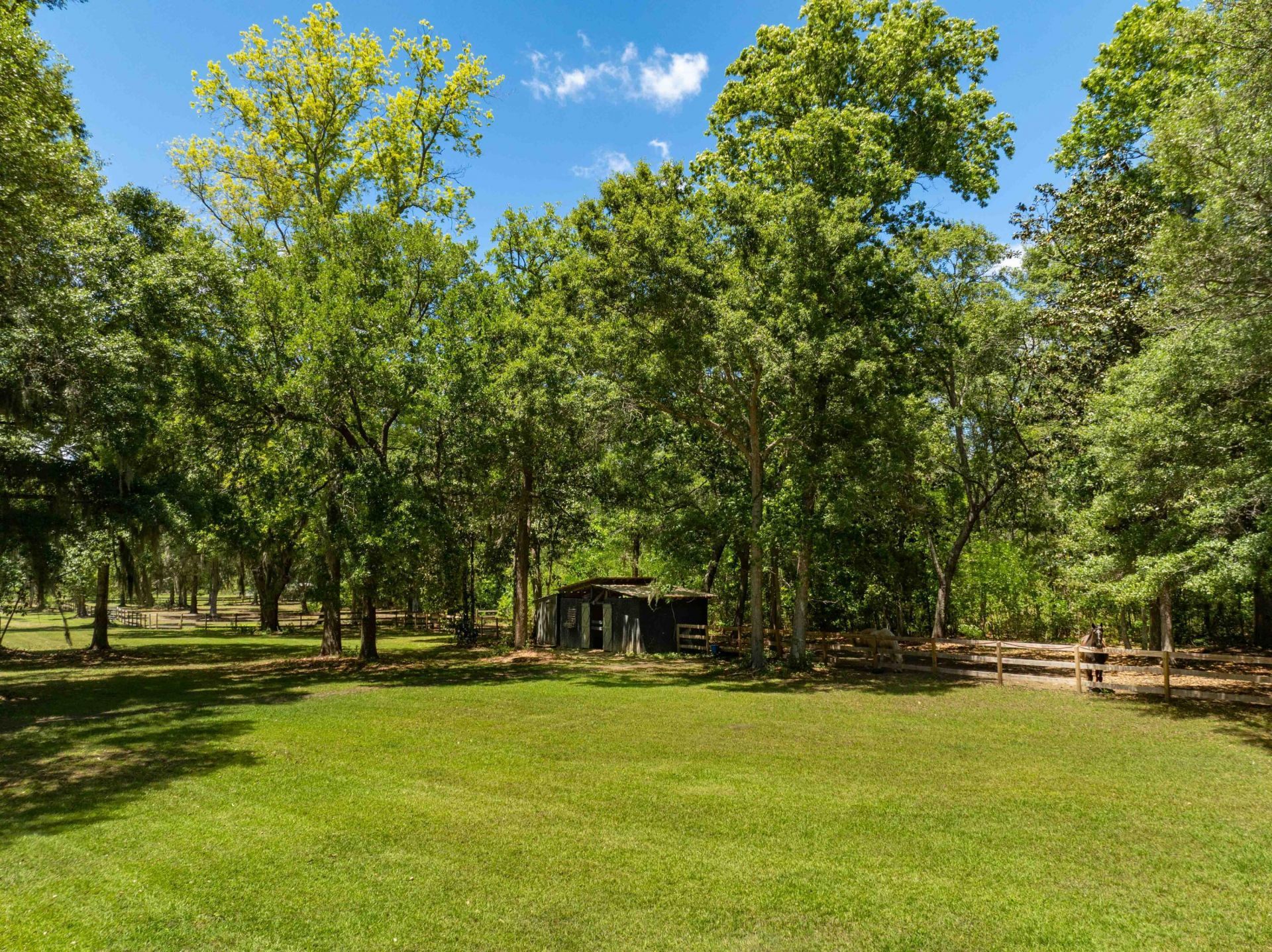 5068 Sweetgrass Farm Road Photo 12