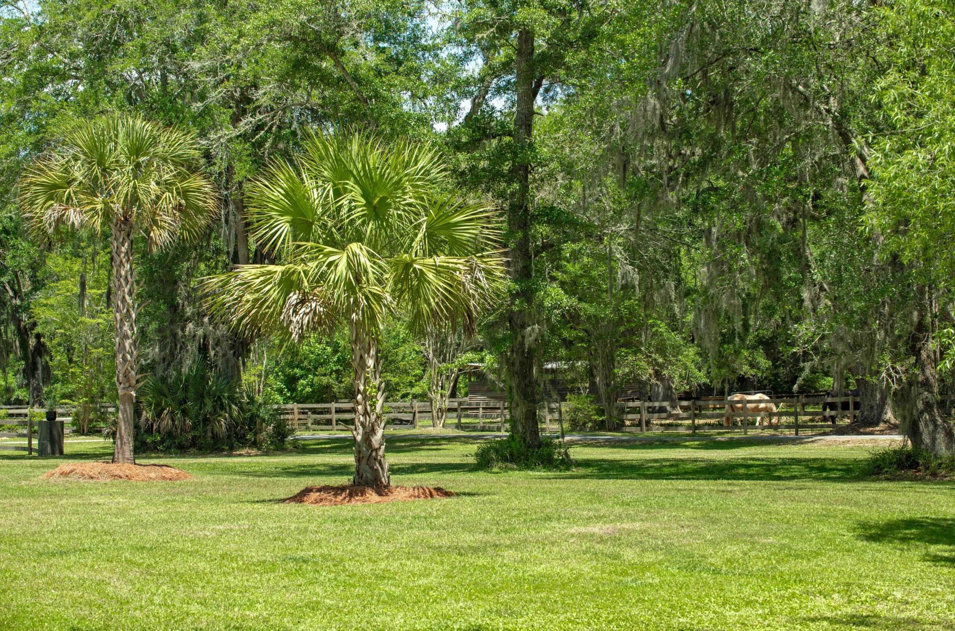 5068 Sweetgrass Farm Road Photo 29