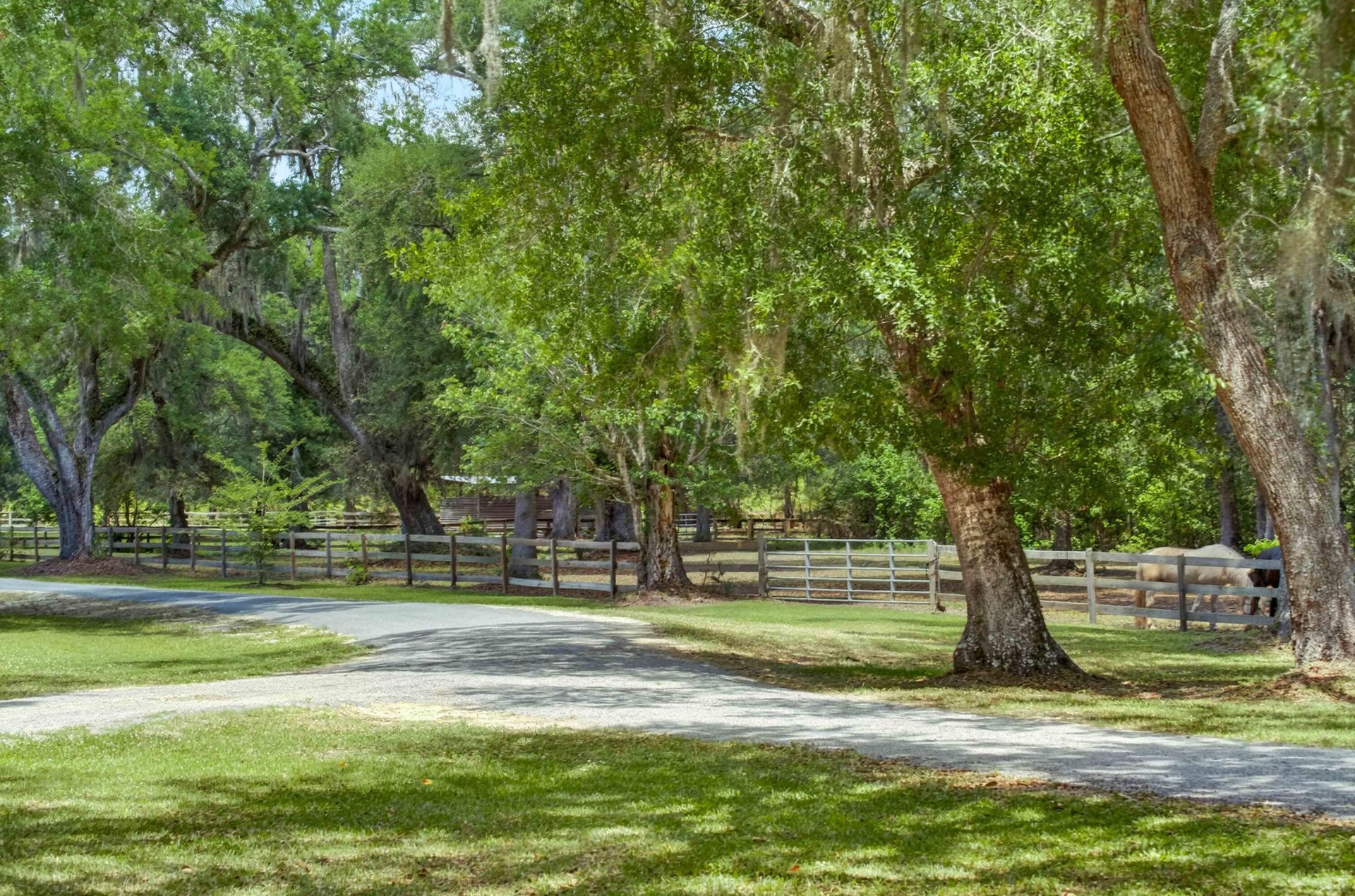 5068 Sweetgrass Farm Road Photo 72