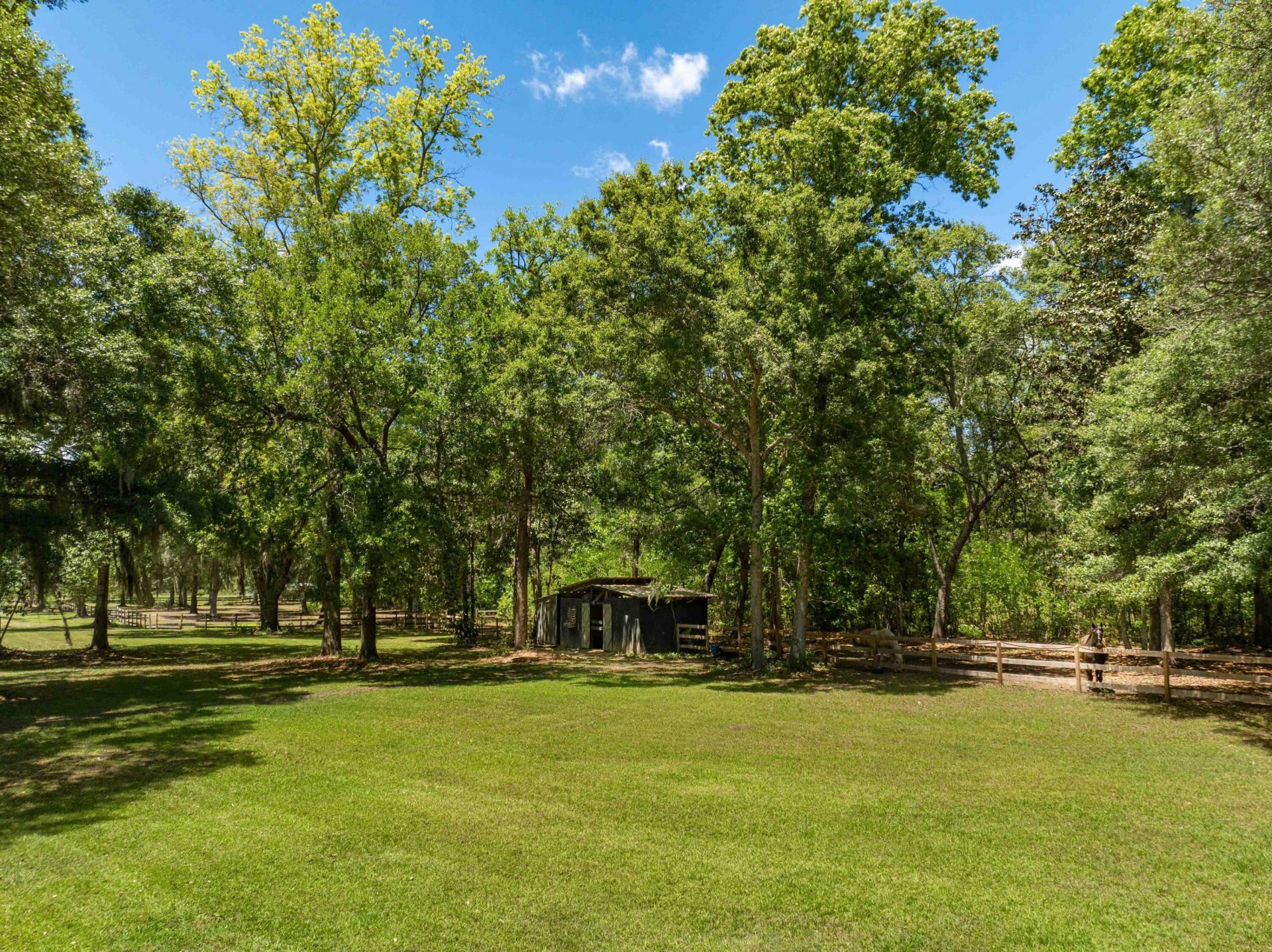 5068 Sweetgrass Farm Road Photo 77