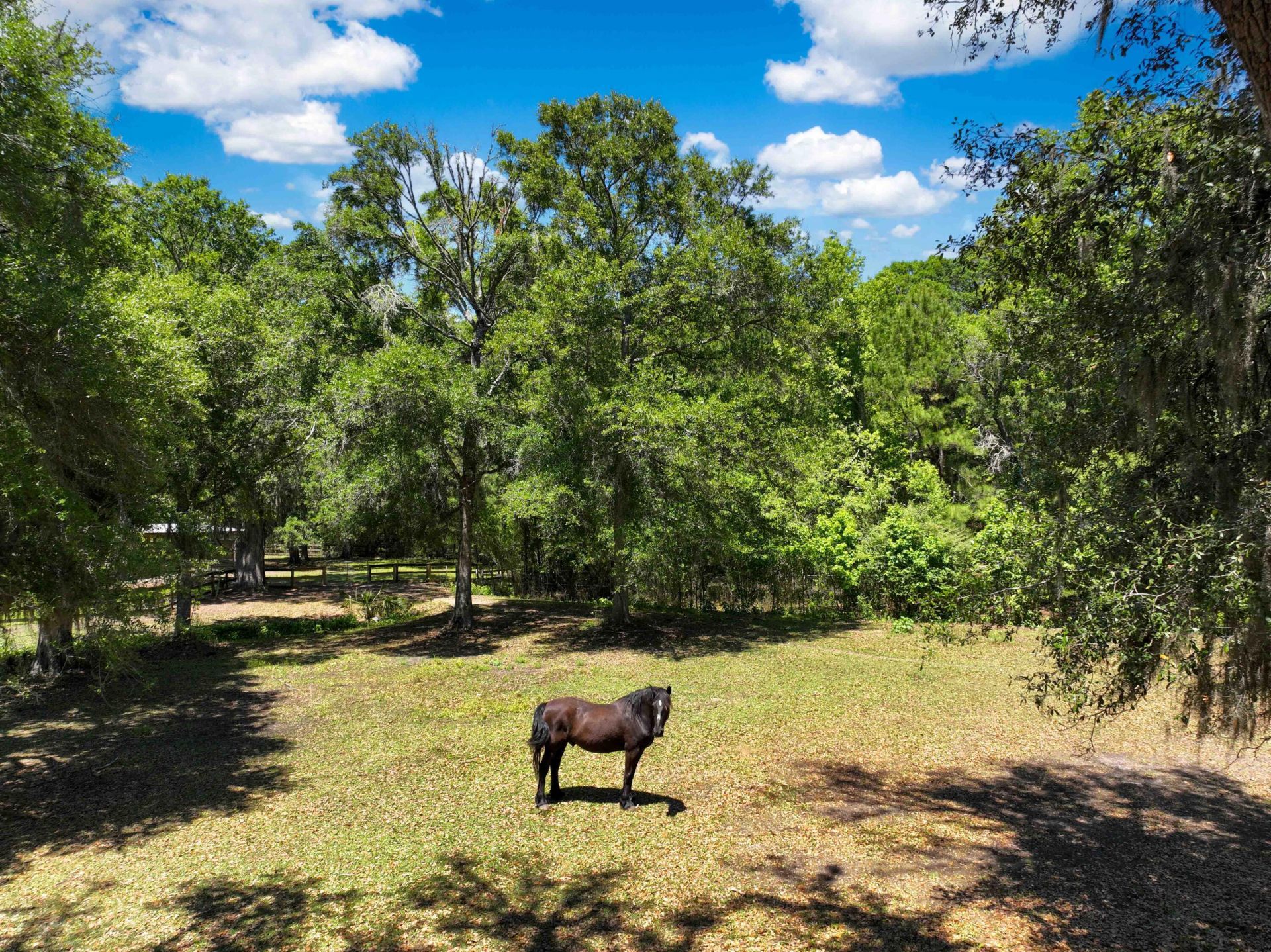 5068 Sweetgrass Farm Road Photo 85