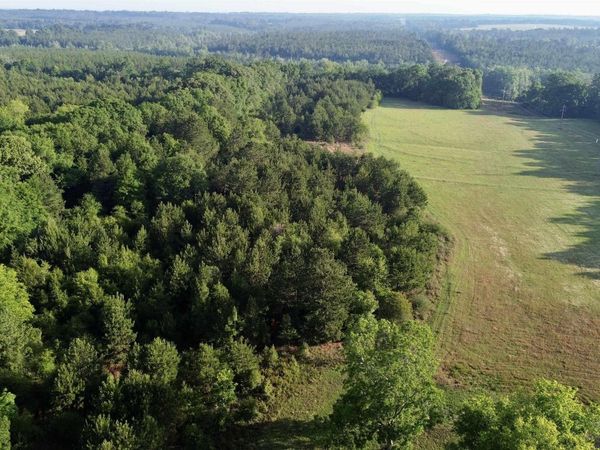 0 Joe Reeves Road, Castleberry, AL 36432