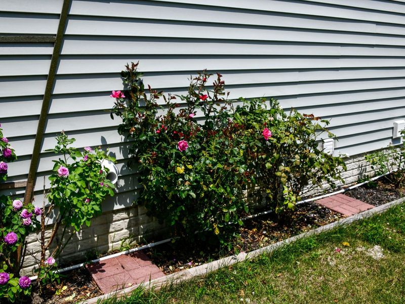 2164 Preakness Place, Marysville, OH 43040 Photo 25