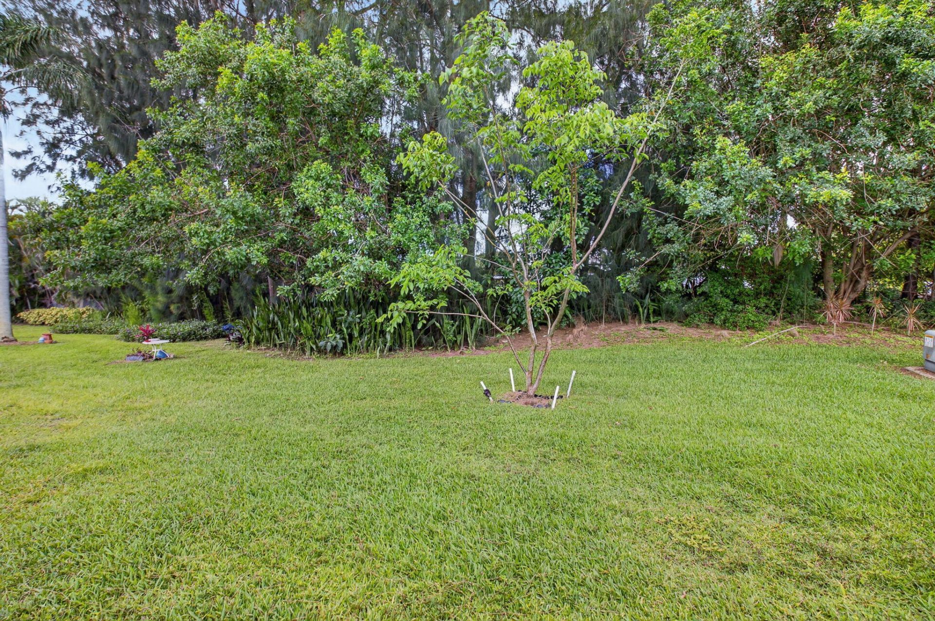 172 High Point Terrace W, Unit D, Delray Beach, FL 33445 Photo