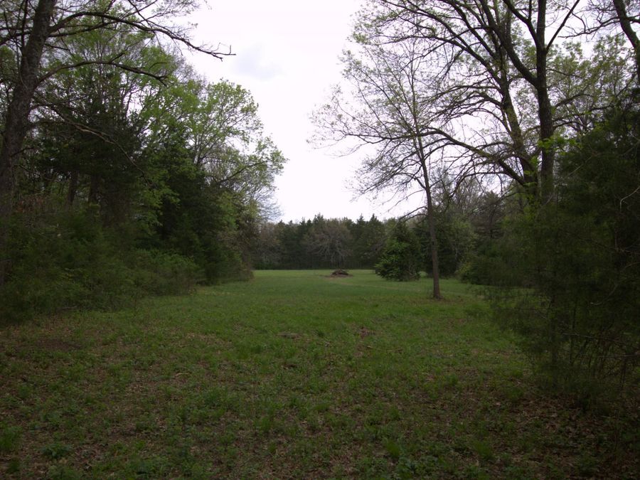 Property Image 53