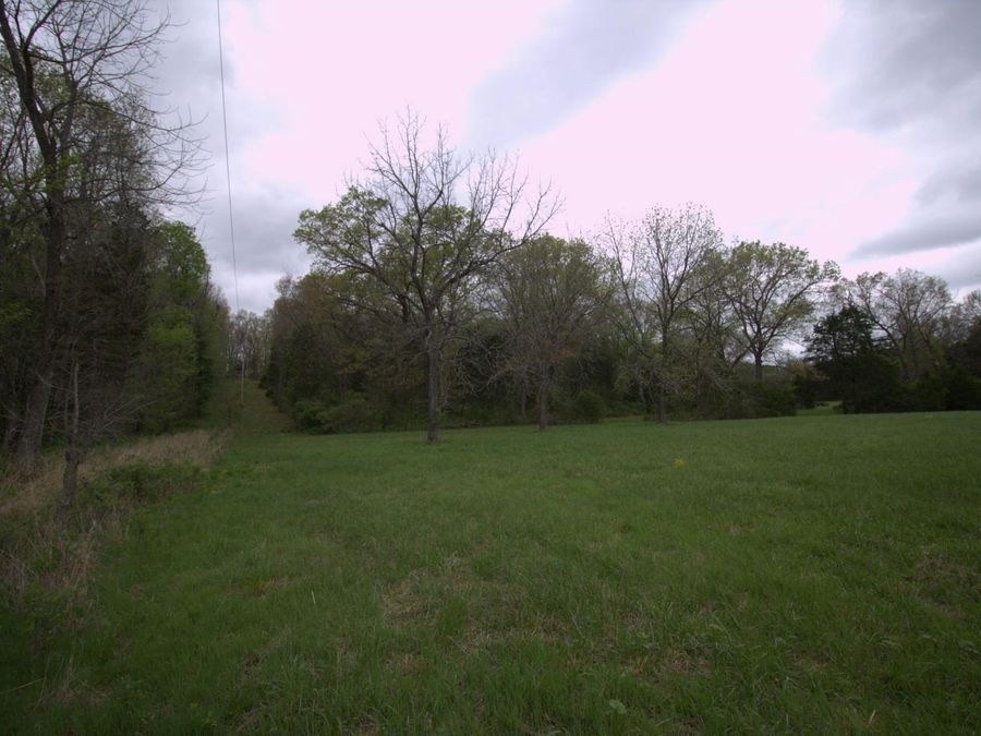 Property Image 54