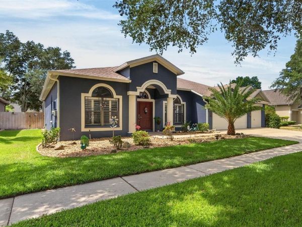 2819 LAUREL LEAF DRIVE , VALRICO, FL 33594