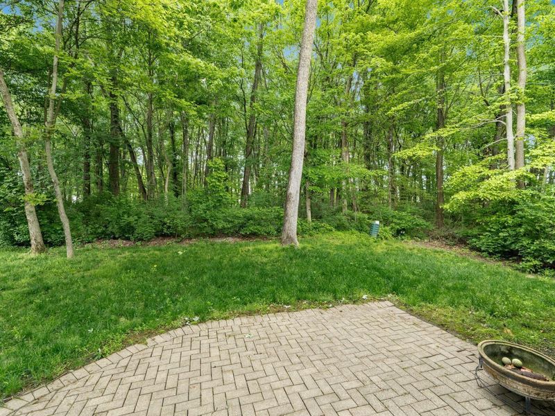 6316 Hilltop Trail Drive, New Albany, OH 43054 Photo 74