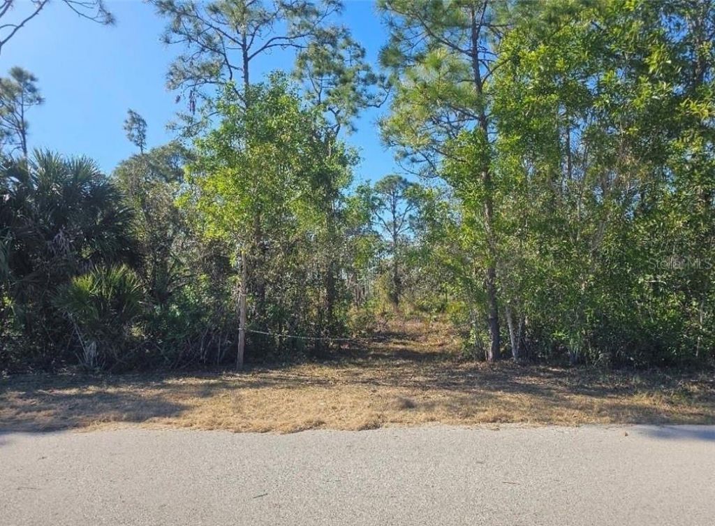 4170 Old Burnt Store Rd , Cape Coral, FL 33993 Photo