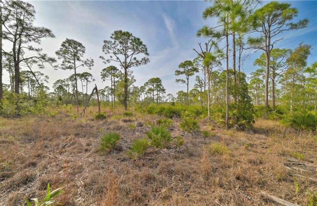 4170 Old Burnt Store Rd , Cape Coral, FL 33993 Photo