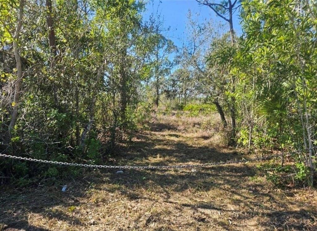 4170 Old Burnt Store Rd , Cape Coral, FL 33993 Photo