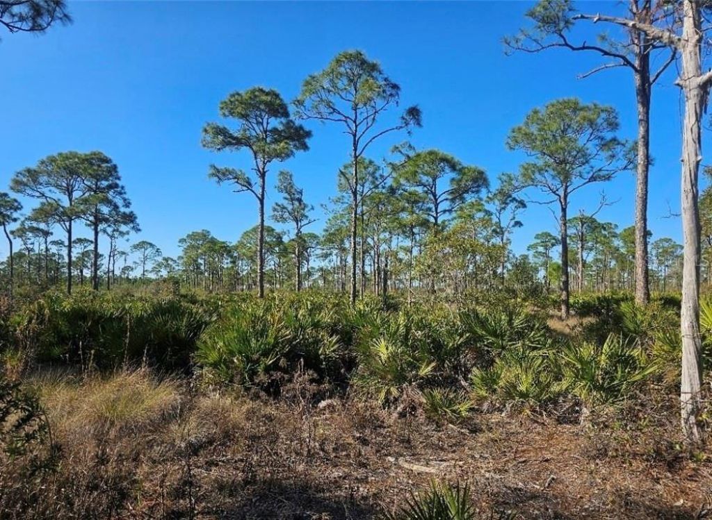 4170 Old Burnt Store Rd , Cape Coral, FL 33993 Photo
