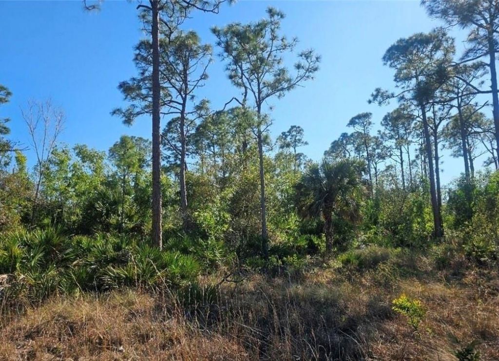 4170 Old Burnt Store Rd , Cape Coral, FL 33993 Photo