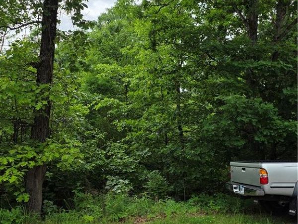 TBD Nantwich Circle , Bella Vista, AR 72714