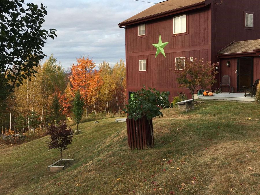 Property Image 53