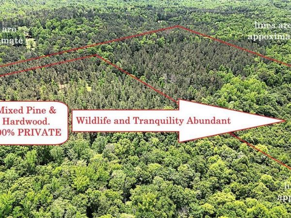 00001 Wilson Road, Temple, GA 30179
