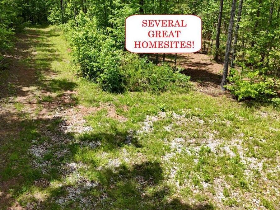 Property Image 5