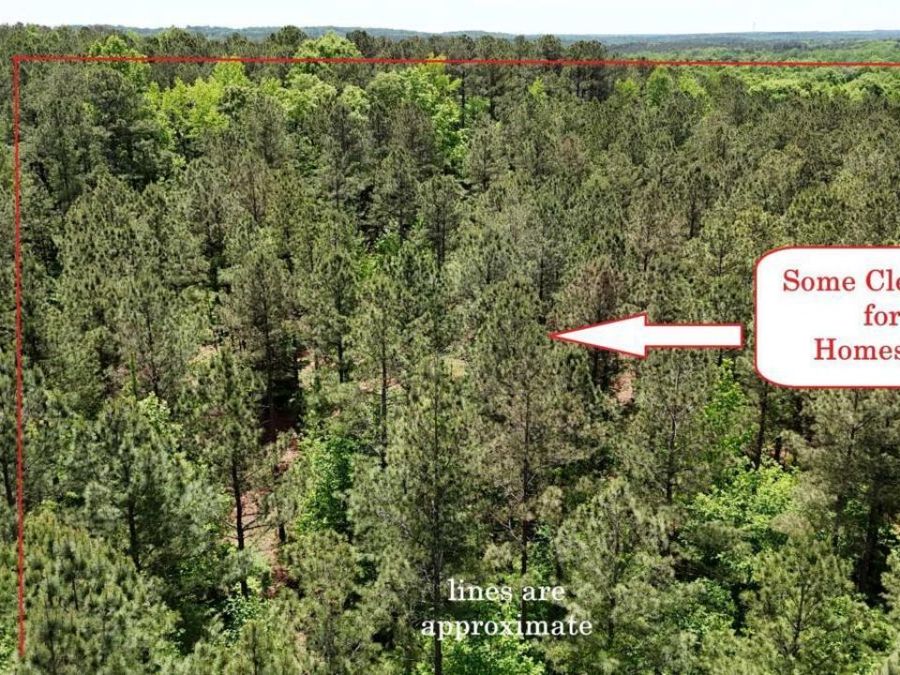 Property Image 6