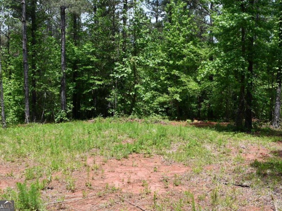 Property Image 51