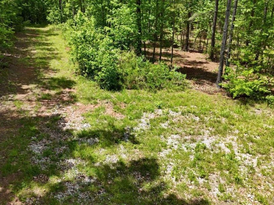 Property Image 85