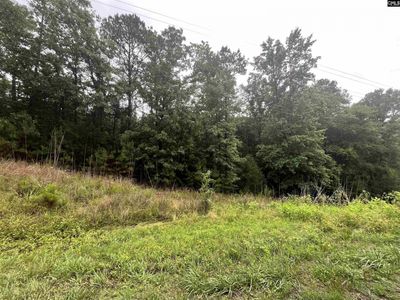 0 Carlisle Whitmire Hwy , Whitmire, SC 29178