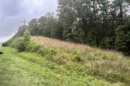 0 Carlisle Whitmire Hwy  photo 4