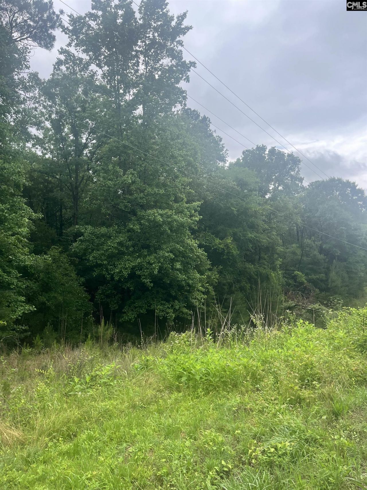 0 Carlisle Whitmire Hwy  Photo 4