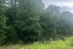 0 Carlisle Whitmire Hwy  photo 4