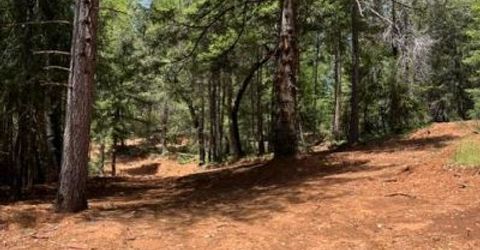 5040 Butterfield Stage Rd, Georgetown, CA 95634 Photo