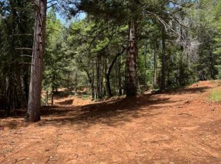 5040 Butterfield Stage Rd, Georgetown, CA 95634 Photo