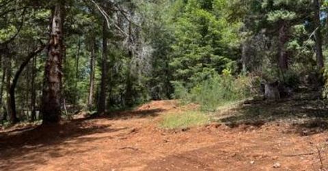 5040 Butterfield Stage Rd, Georgetown, CA 95634 Photo