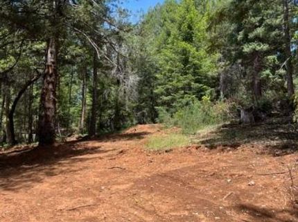 5040 Butterfield Stage Rd, Georgetown, CA 95634 Photo