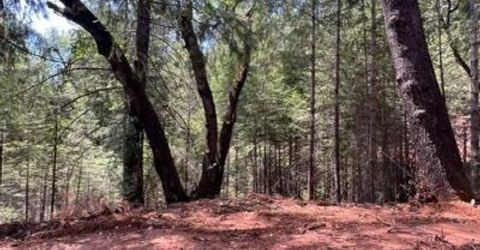 5040 Butterfield Stage Rd, Georgetown, CA 95634 Photo
