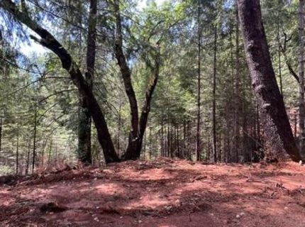 5040 Butterfield Stage Rd, Georgetown, CA 95634 Photo