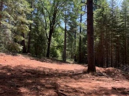 5040 Butterfield Stage Rd, Georgetown, CA 95634 Photo