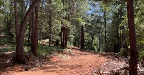 5040 Butterfield Stage Rd, Georgetown, CA 95634 Photo