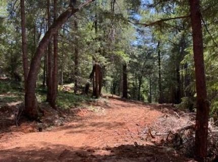 5040 Butterfield Stage Rd, Georgetown, CA 95634 Photo
