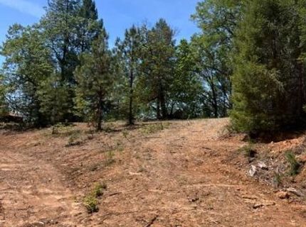 5040 Butterfield Stage Rd, Georgetown, CA 95634 Photo