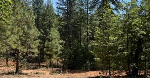 5040 Butterfield Stage Rd, Georgetown, CA 95634 Photo
